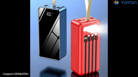 Hots Sale Portable Charger 50000mAh Wireless Magnetic Power Banks Station Custom Logo OEM Gift 20W USB Fast Charging Power Bank 