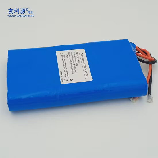 Deep Cycle 12V/48V 100ah/200ah Lithium Solar/Car LiFePO4 Storage Battery Pack for Electric Scooter Vehicle Bicycle Marine RV UPS
