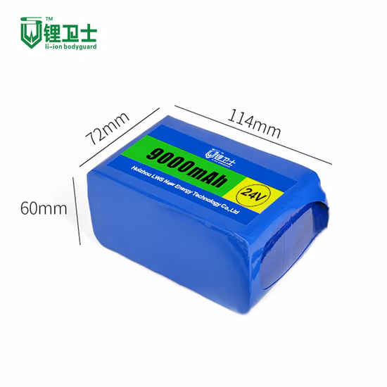 Lws 22V 24V 48V 72V 20ah LiFePO4 Batterie 12V Lithium Ion Battery Pack
