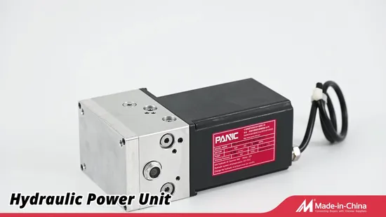 Double Acting DC 12V