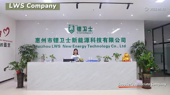 Lws Wholesale Rechargeable Lithium LiFePO4 Batteries12V 50ah 100ah 120ah 150ah 200ah 300ah 400ah Volt Li